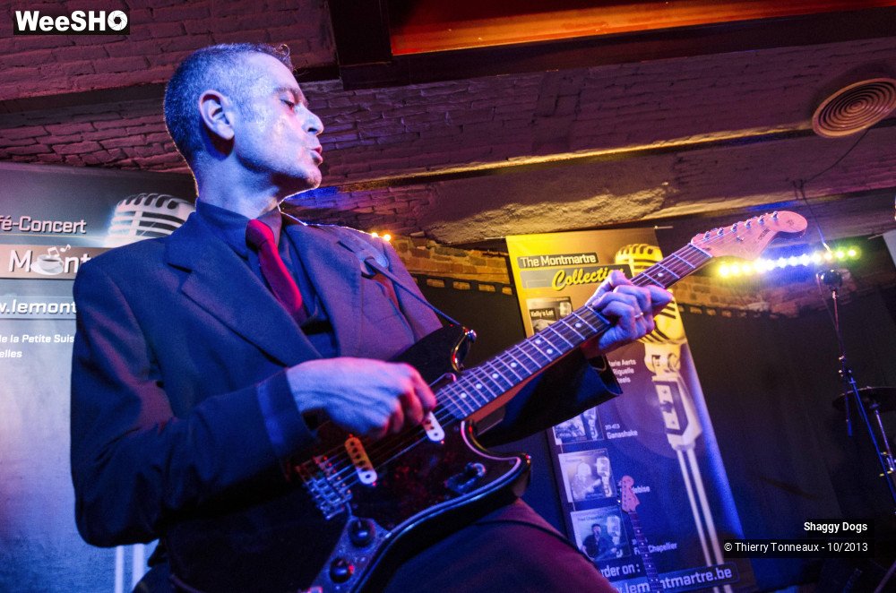 28/50 photos du spectacle Shaggy Dogs