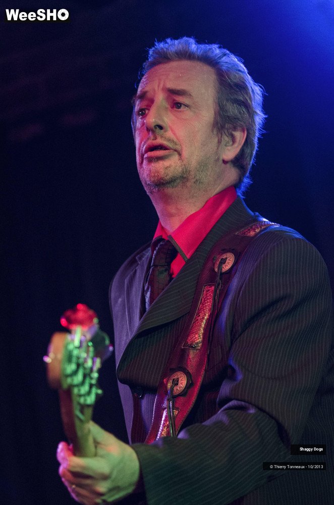 40/50 photos du spectacle Shaggy Dogs