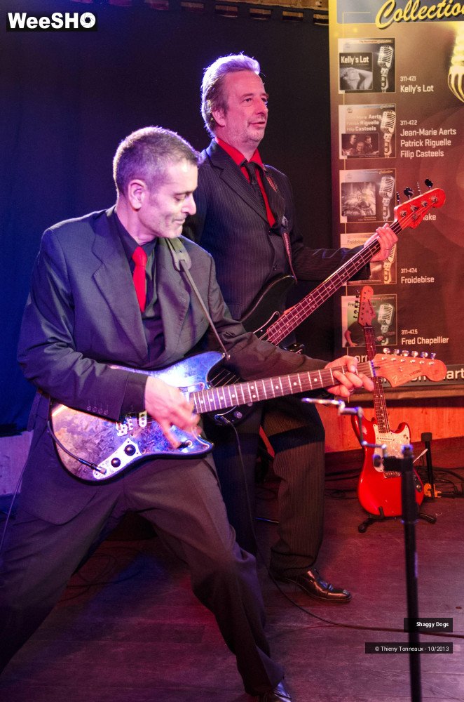 46/50 photos du spectacle Shaggy Dogs