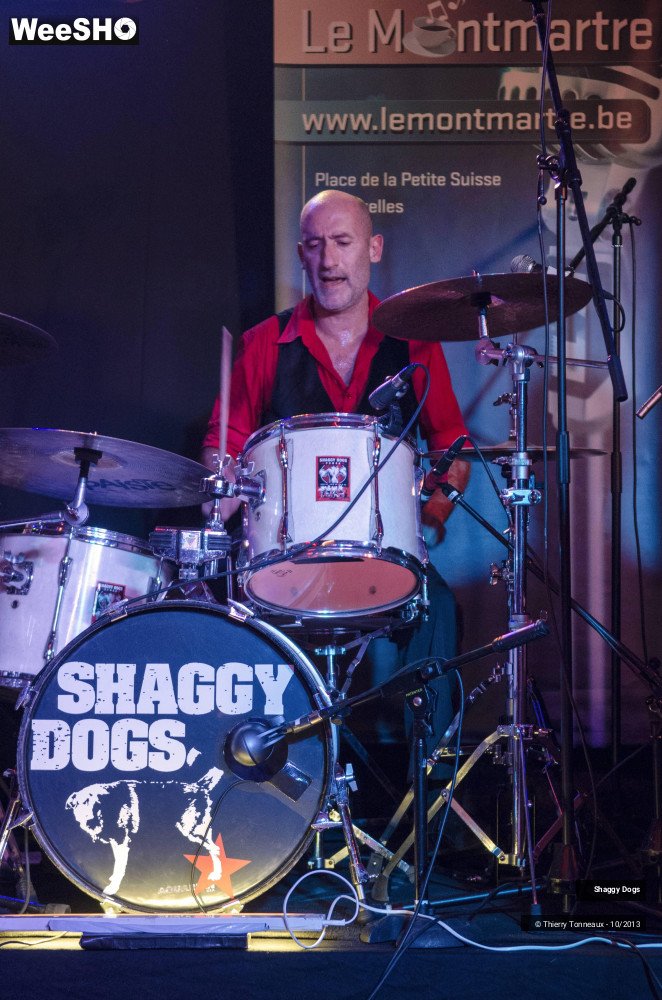 49/50 photos du spectacle Shaggy Dogs