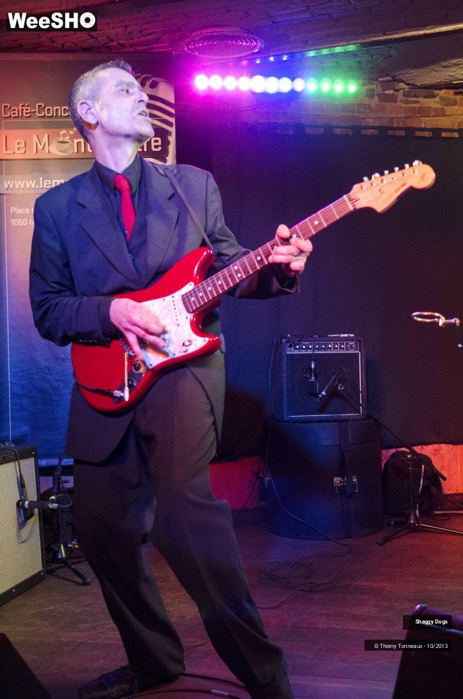 50/50 photos du spectacle Shaggy Dogs