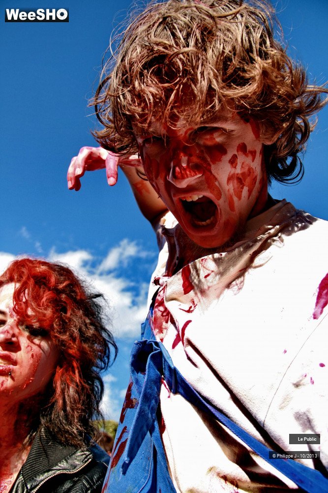 7/50 photos du spectacle Zombie Walk 1