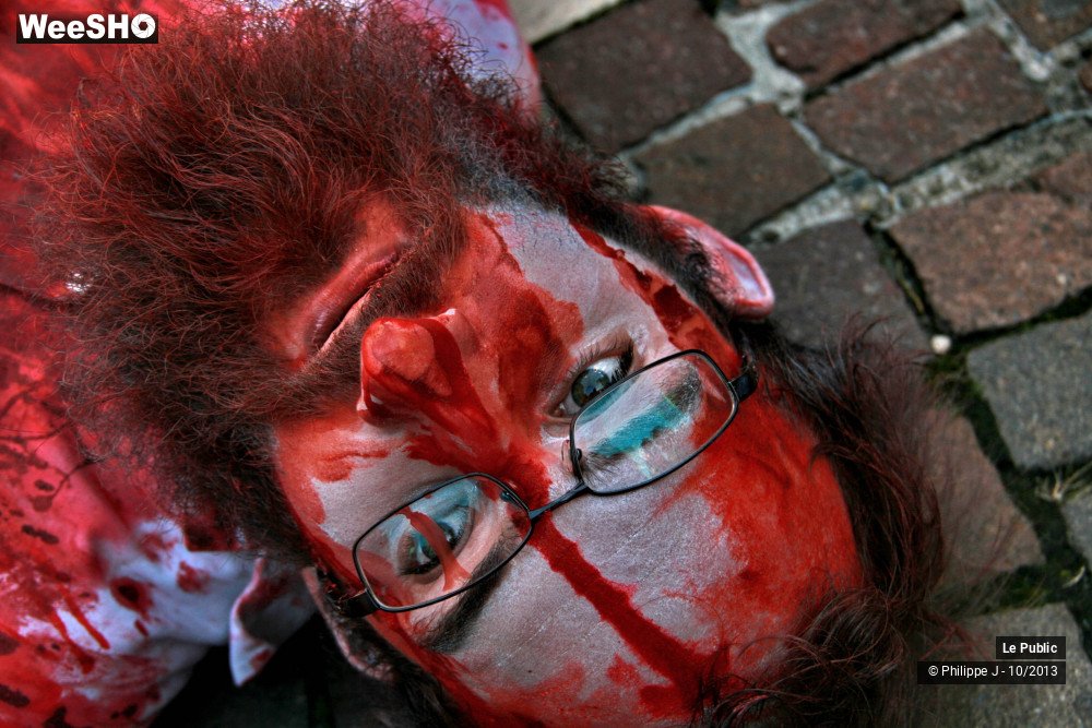 16/50 photos du spectacle Zombie Walk 1