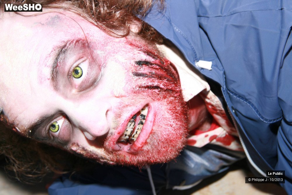 25/50 photos du spectacle Zombie Walk 1