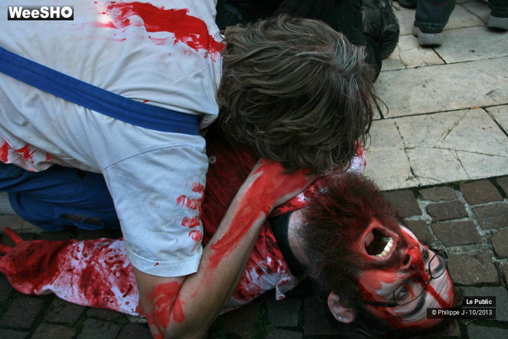 34/50 photos du spectacle Zombie Walk 1
