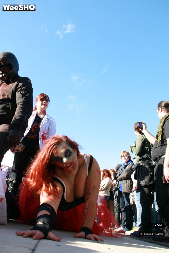 40/50 photos du spectacle Zombie Walk 1