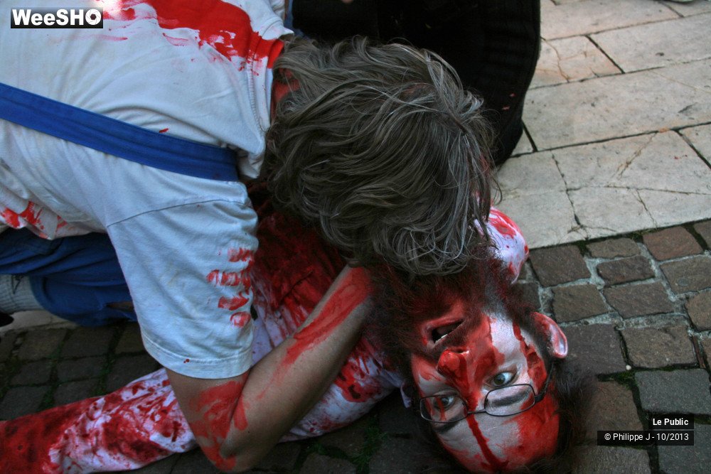 46/50 photos du spectacle Zombie Walk 1