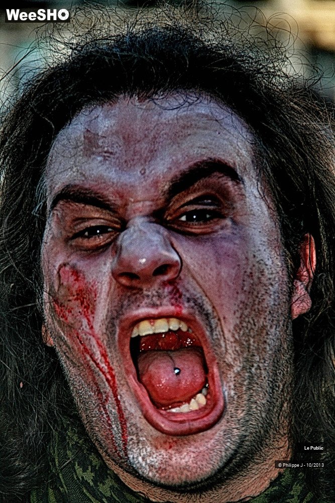 22/38 photos du spectacle Zombie Walk 2