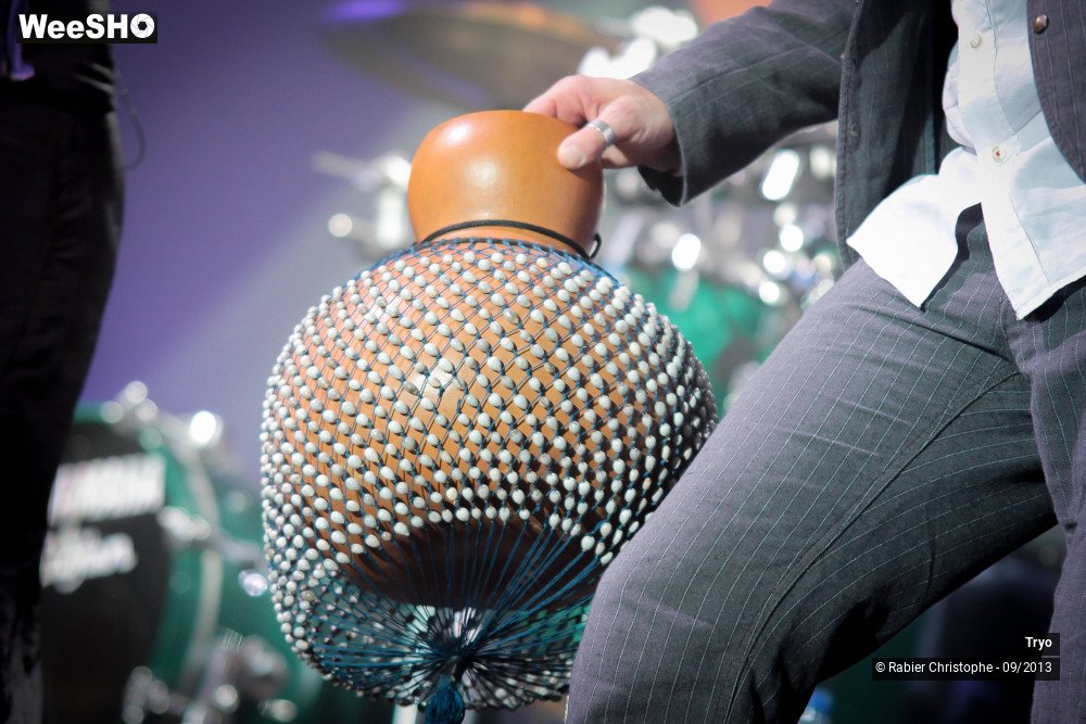 5/31 photos du spectacle Tryo et ses invités