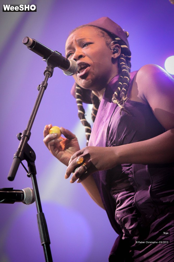 17/31 photos du spectacle Tryo et ses invités