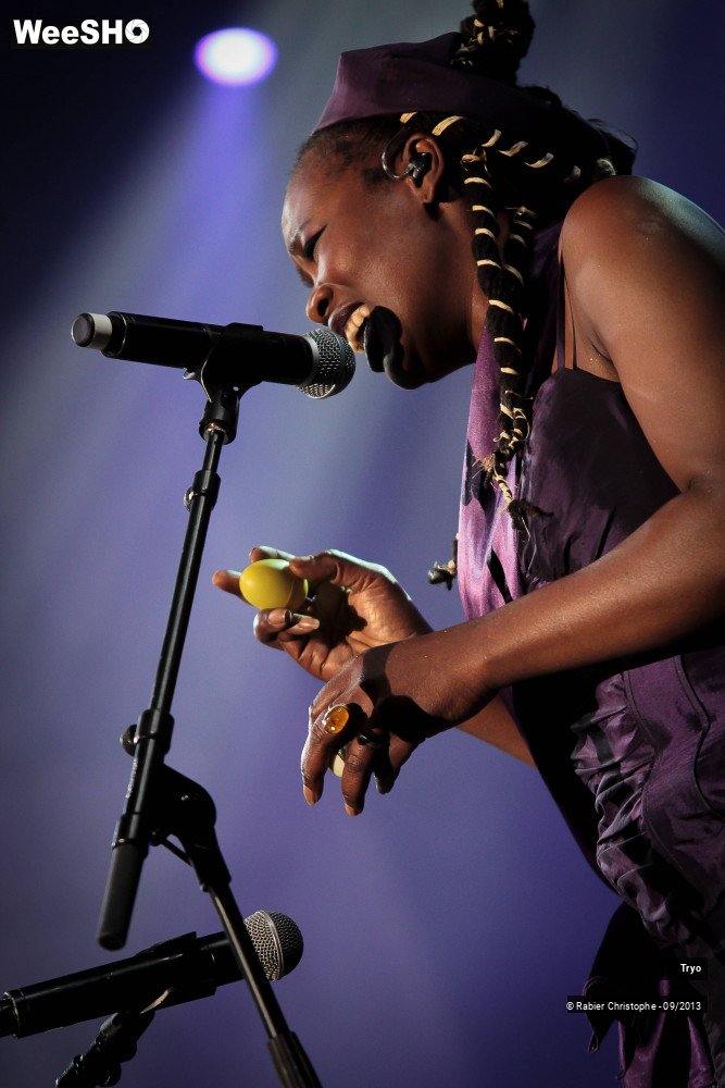 21/31 photos du spectacle Tryo et ses invités