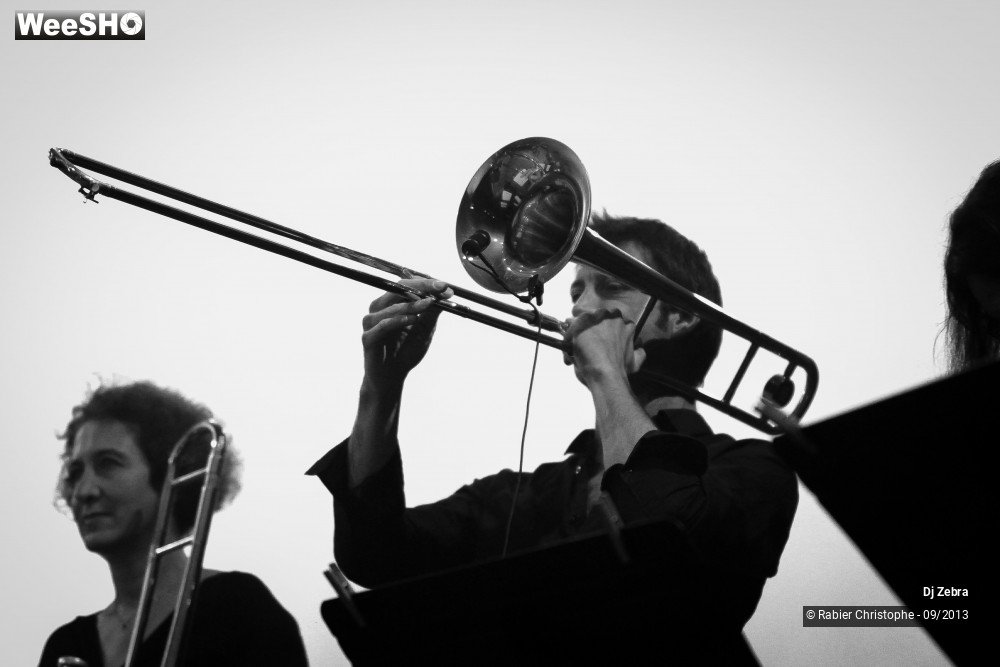 4/44 photos du spectacle Zebra et les souffleuses