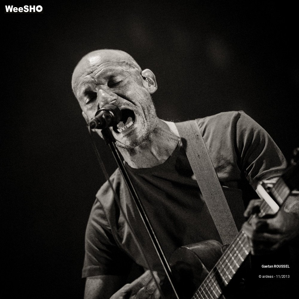 14/39 photos du spectacle Gaetan Roussel
