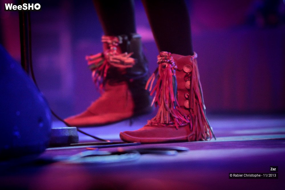 12/46 photos du spectacle Zaz