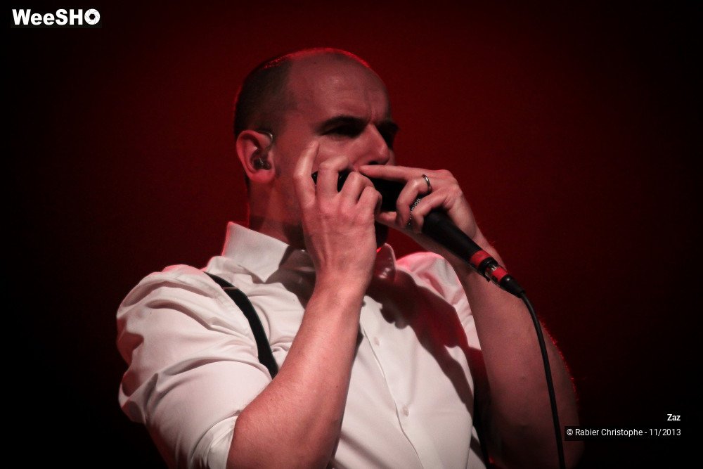 13/46 photos du spectacle Zaz