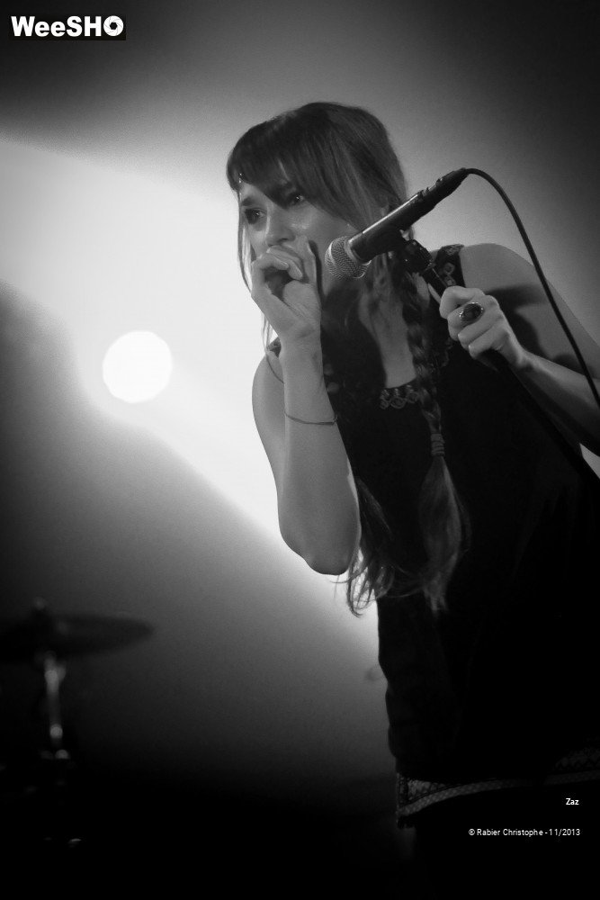 29/46 photos du spectacle Zaz