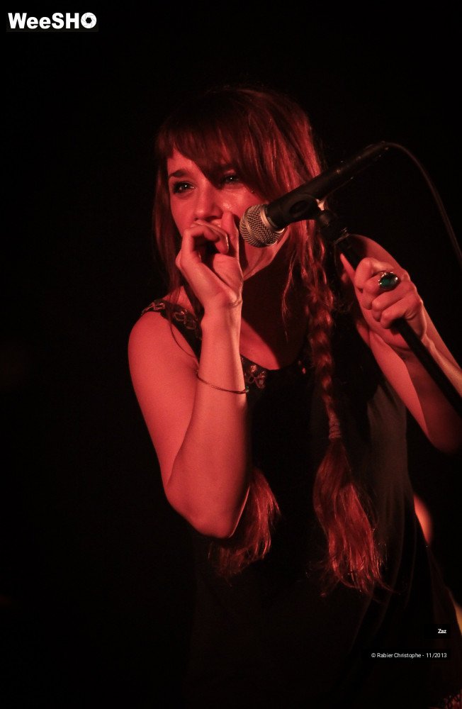 40/46 photos du spectacle Zaz