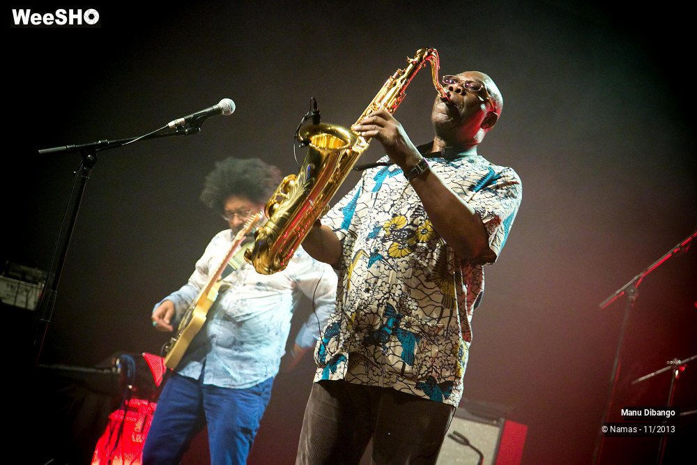 3/44 photos du spectacle Manu Dibango