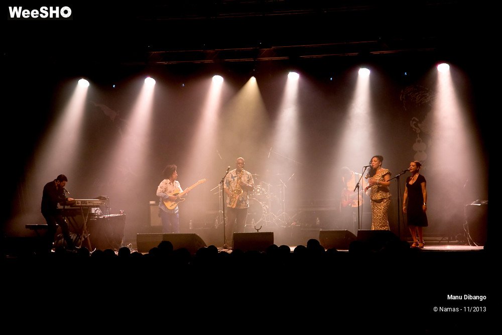 5/44 photos du spectacle Manu Dibango