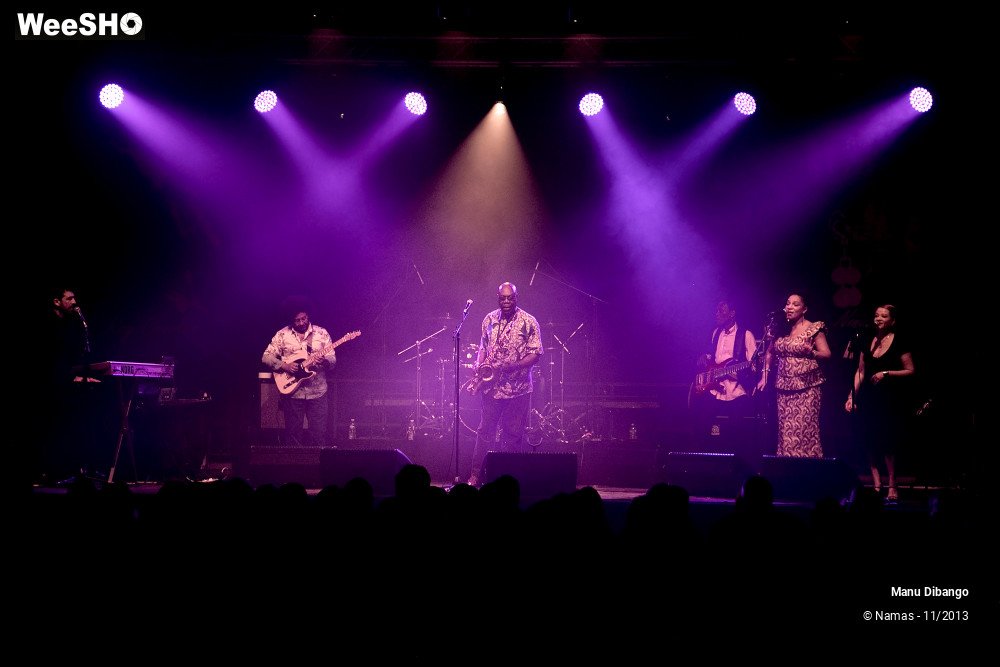 6/44 photos du spectacle Manu Dibango