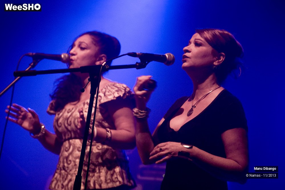 15/44 photos du spectacle Manu Dibango