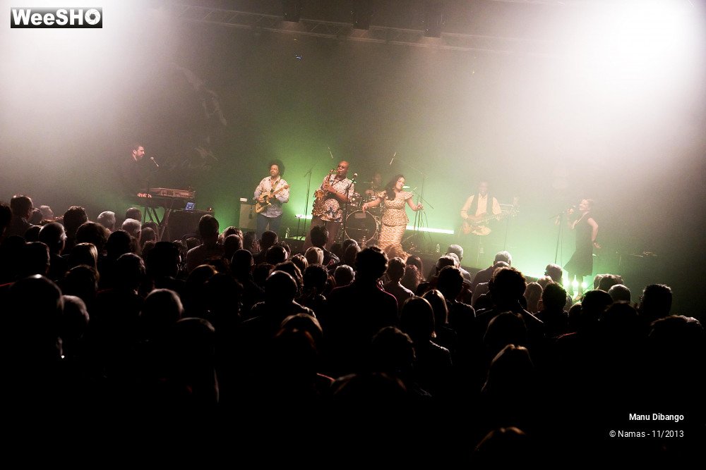 16/44 photos du spectacle Manu Dibango