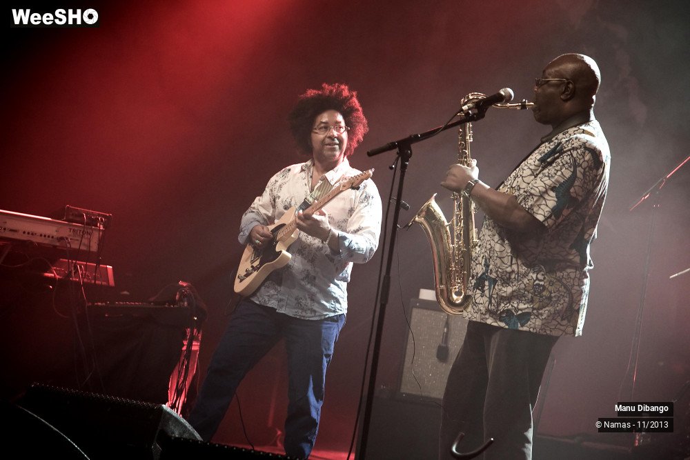 17/44 photos du spectacle Manu Dibango