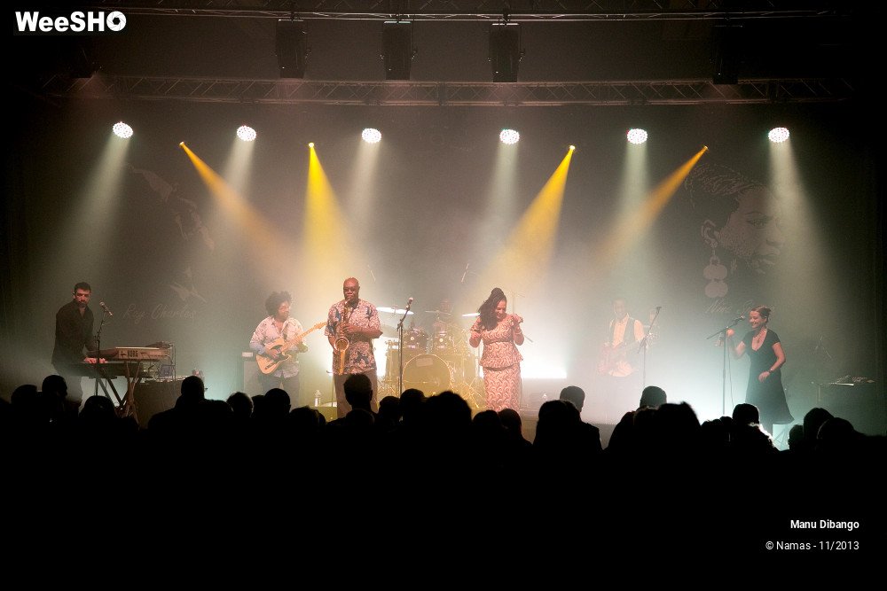 18/44 photos du spectacle Manu Dibango