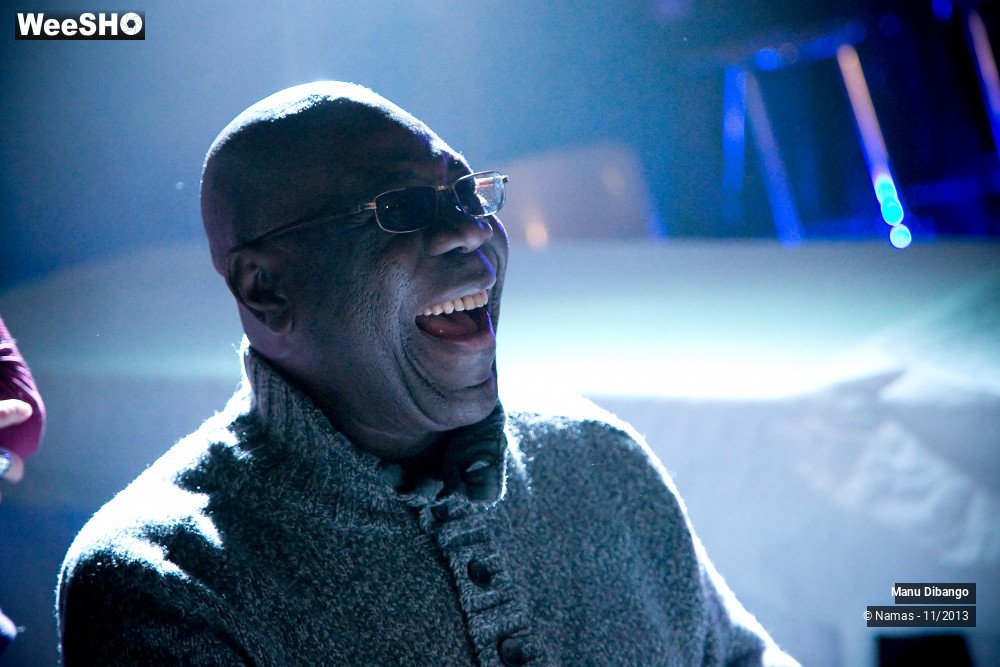 19/44 photos du spectacle Manu Dibango