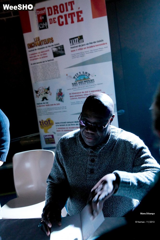 20/44 photos du spectacle Manu Dibango