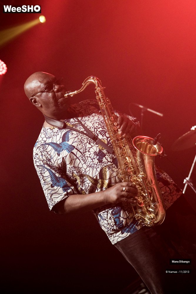 21/44 photos du spectacle Manu Dibango
