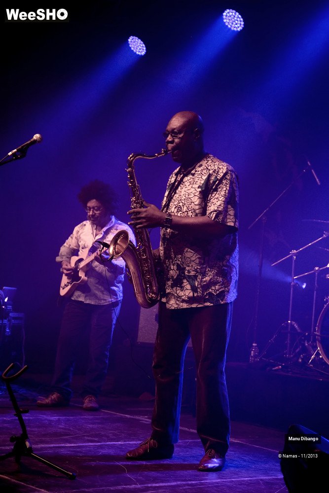 22/44 photos du spectacle Manu Dibango