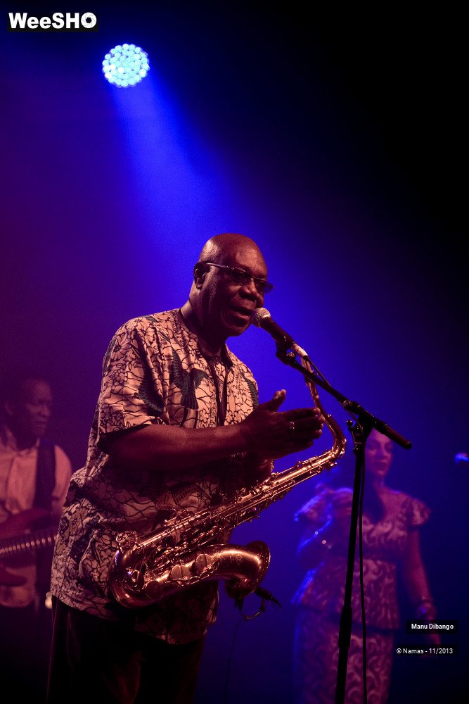 24/44 photos du spectacle Manu Dibango