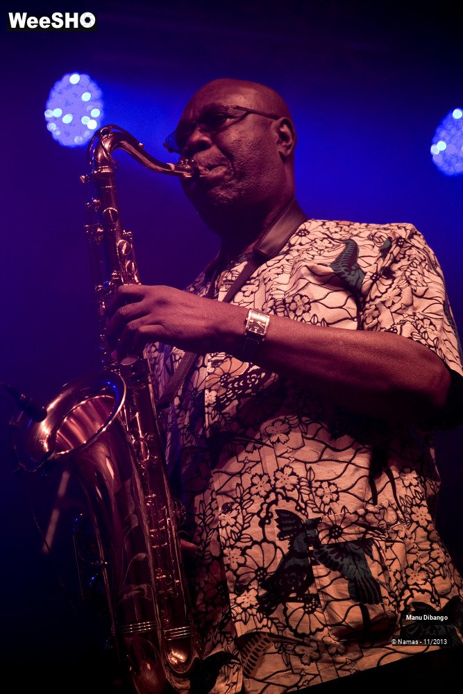 25/44 photos du spectacle Manu Dibango