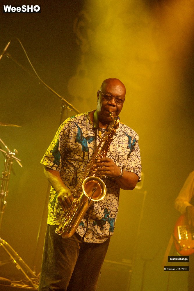 28/44 photos du spectacle Manu Dibango