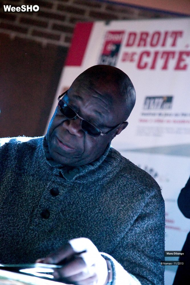 31/44 photos du spectacle Manu Dibango