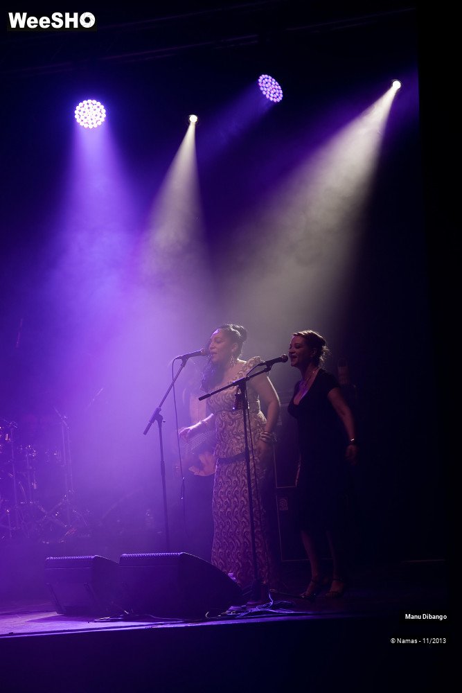 35/44 photos du spectacle Manu Dibango