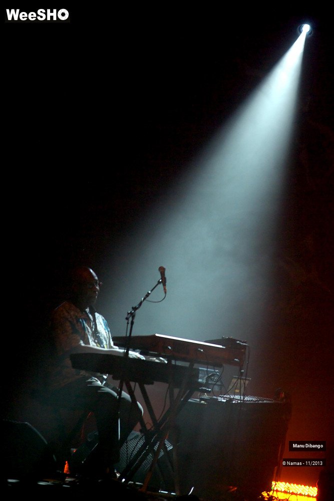 39/44 photos du spectacle Manu Dibango