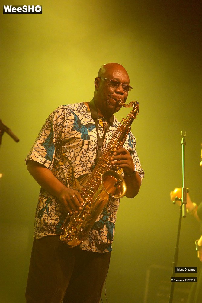 42/44 photos du spectacle Manu Dibango