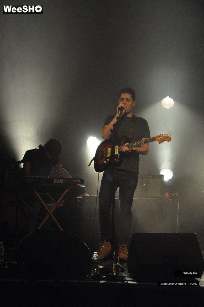 39/43 photos du spectacle Velocity Bird