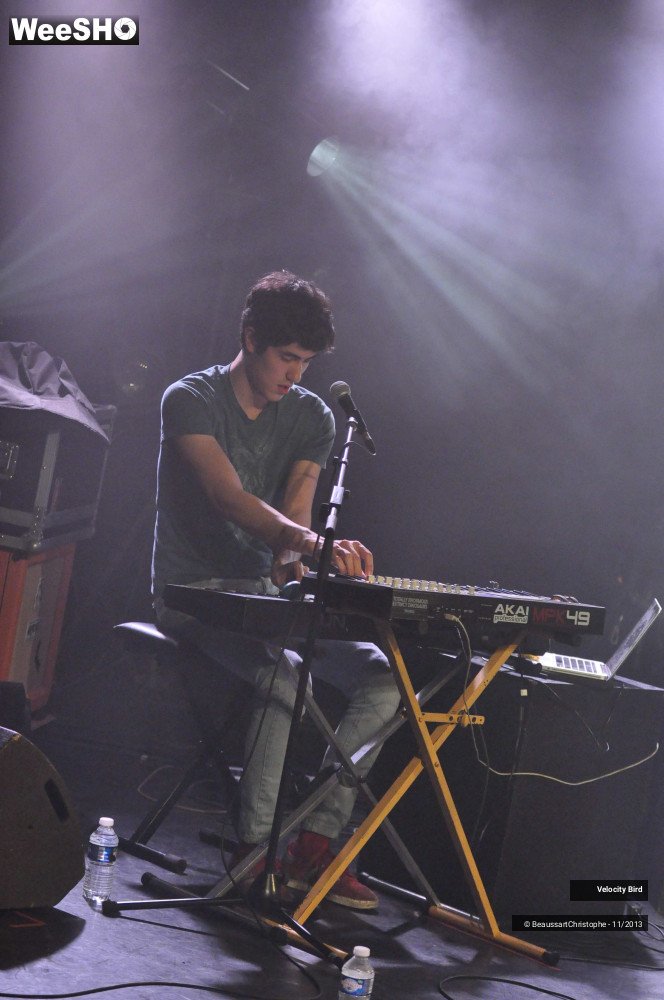 40/43 photos du spectacle Velocity Bird