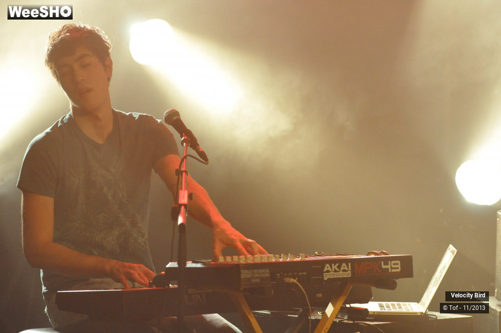 5/43 photos du spectacle Velocity Bird