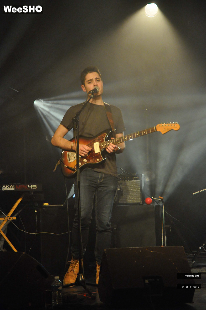 8/43 photos du spectacle Velocity Bird
