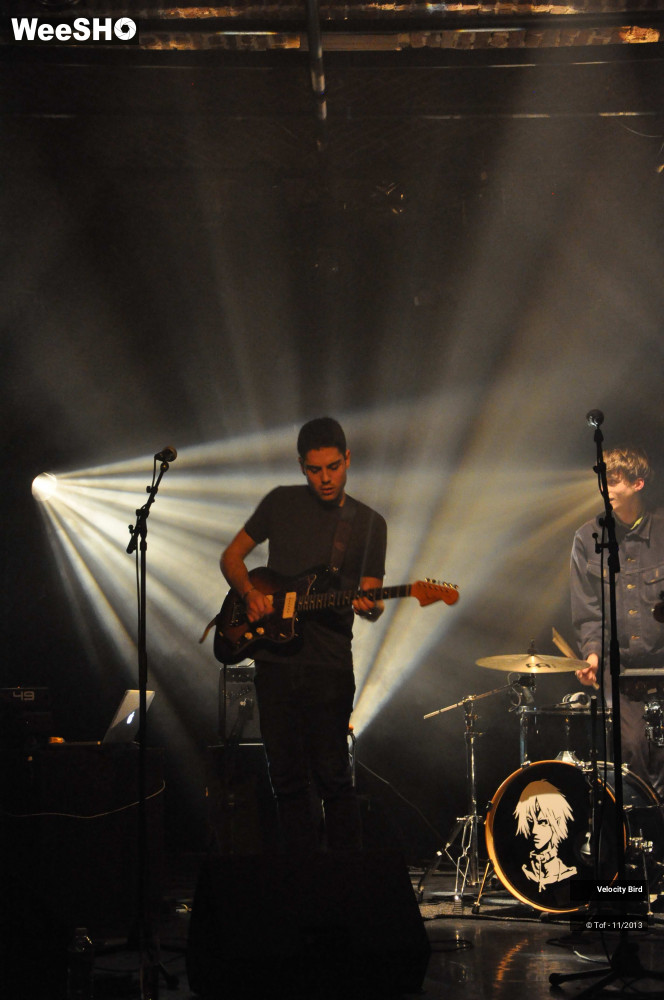 10/43 photos du spectacle Velocity Bird