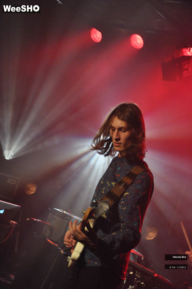 15/43 photos du spectacle Velocity Bird