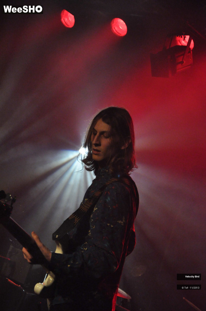 17/43 photos du spectacle Velocity Bird