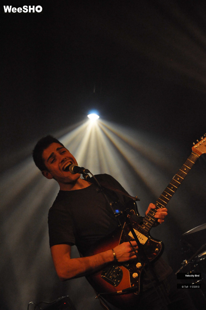 19/43 photos du spectacle Velocity Bird