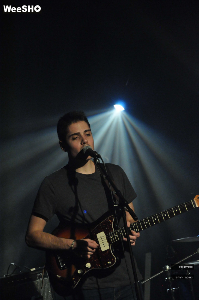 20/43 photos du spectacle Velocity Bird