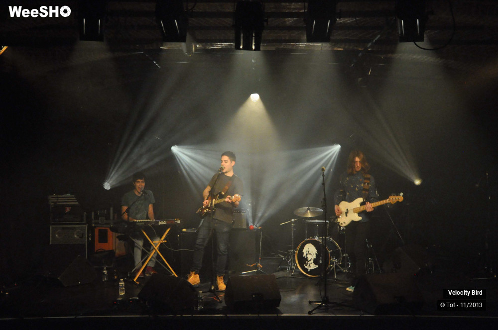27/43 photos du spectacle Velocity Bird