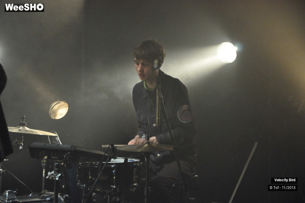 31/43 photos du spectacle Velocity Bird